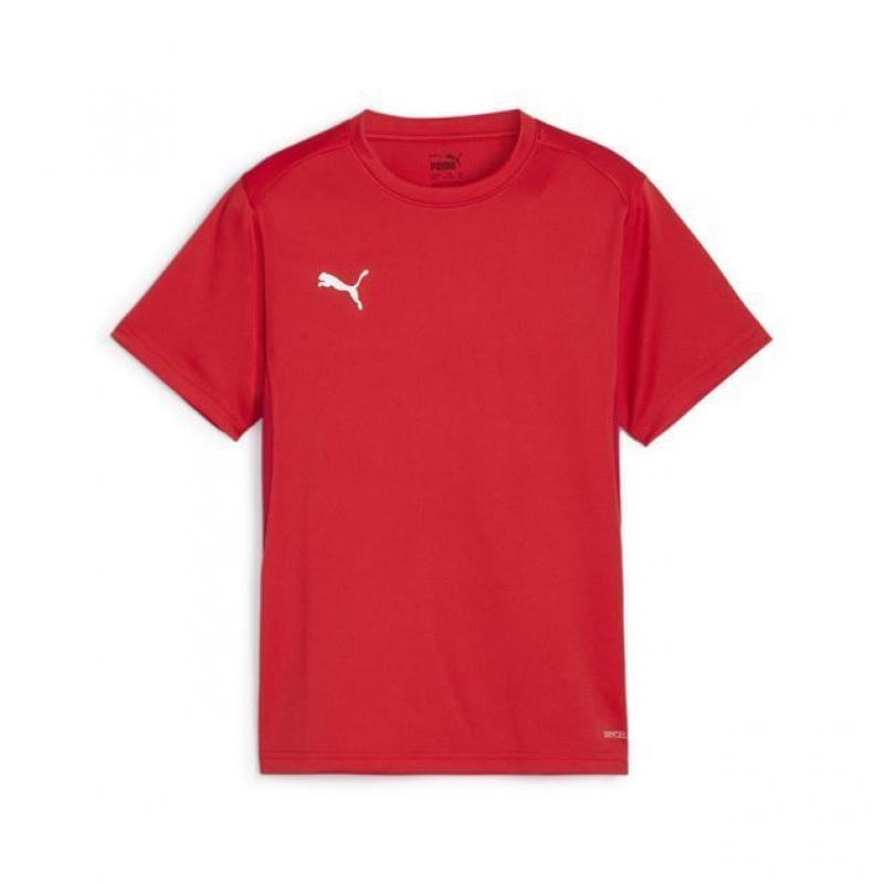 Puma Teamgoal Treningsskjorte Rød Barn